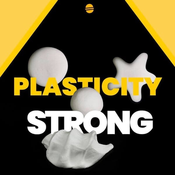 Strong Sealant Mud